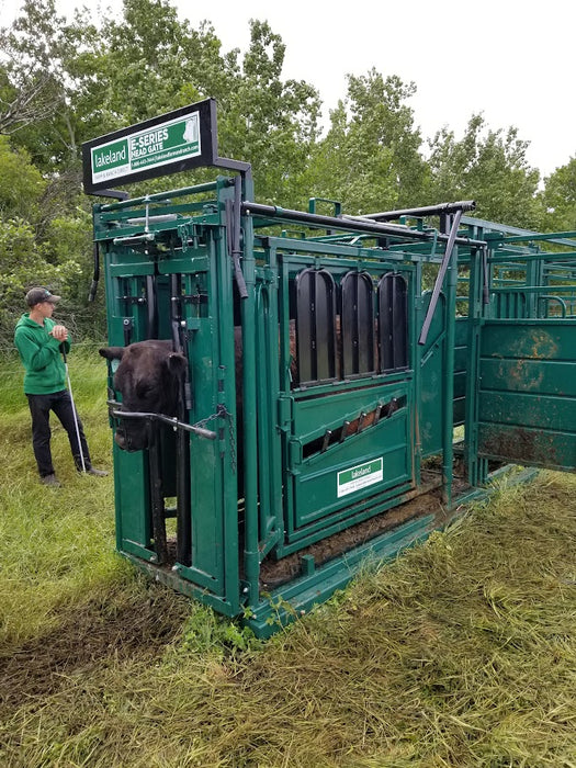 Lakeland E-Series Cattle Squeeze Chute built for safe restraint during treatment or branding