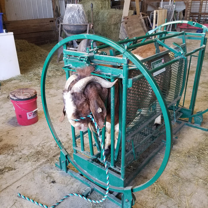 Deluxe Spin Trim Goat Chute | Safe & Durable Sheep Chute
