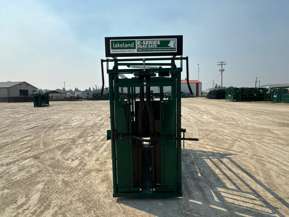 Close-up of hydraulic controls and head catch on Lakeland cattle squeeze chute for efficient cattle management