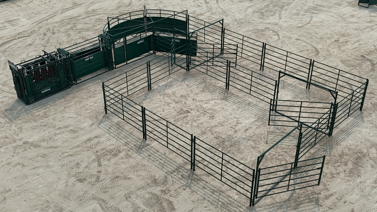 Heavy-duty Lakeland Cattle Handling System – E3000 setup ensuring operator safety and smooth cattle flow