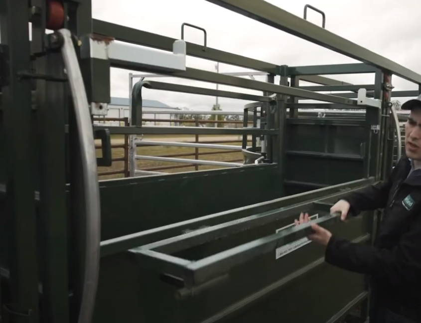 Lakeland Adjustable Cattle Alley setup in a cattle handling system for seamless livestock movement