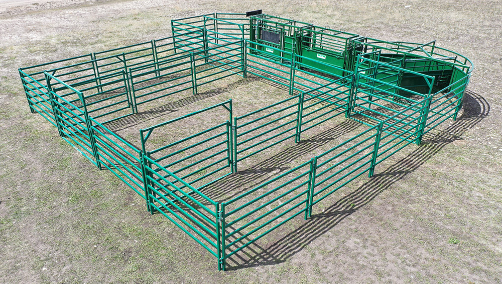 C3000 Complete Cattle Handling System by Lakeland – premium design for organised and stress-free cattle flow