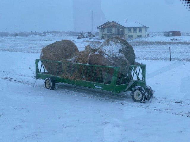 Lakeland Cattle Feeder Wagon – professional feeding solution offering strength, capacity, and easy mobility