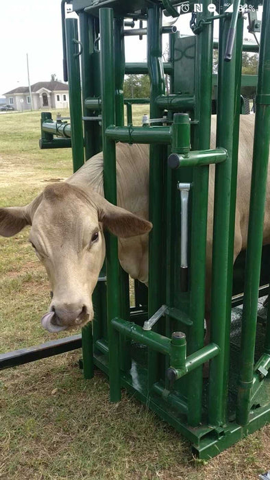 Hydraulic Premium C-Series Cattle Squeeze Chute offering smooth, controlled cattle restraint