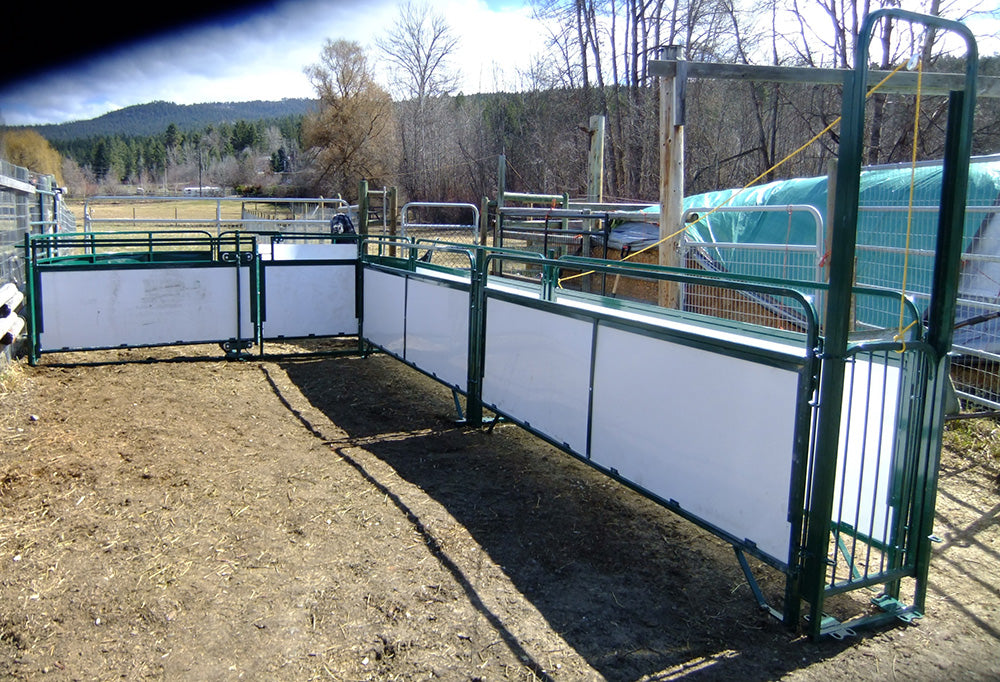 Durable steel sheep handling system for safe animal control and sorting