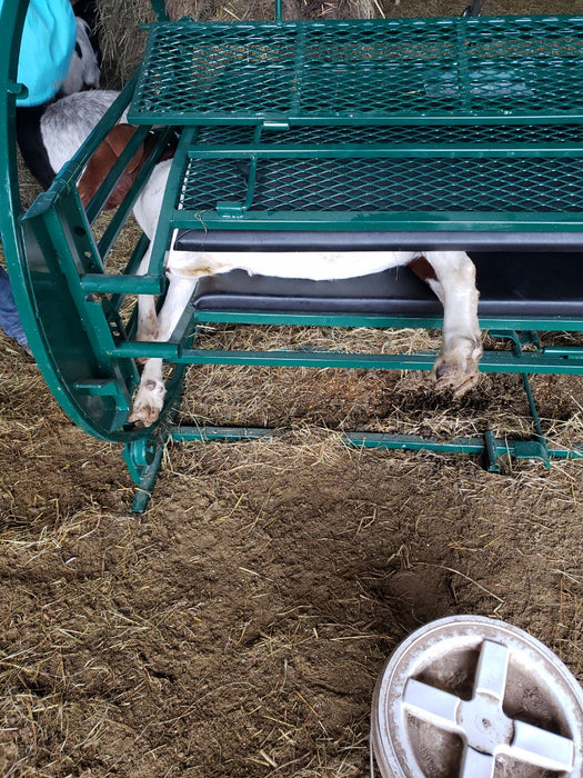 Efficient Sheep Chute by Lakeland for Quick Grooming and Veterinary Access