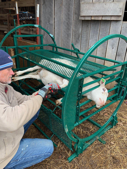 Portable Sheep Handling System Offering Quick Setup and Reliable Herd Management