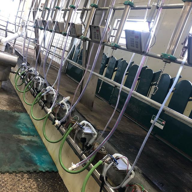 Self-Locking Head Rail for Parlors | Goat & Sheep Handling