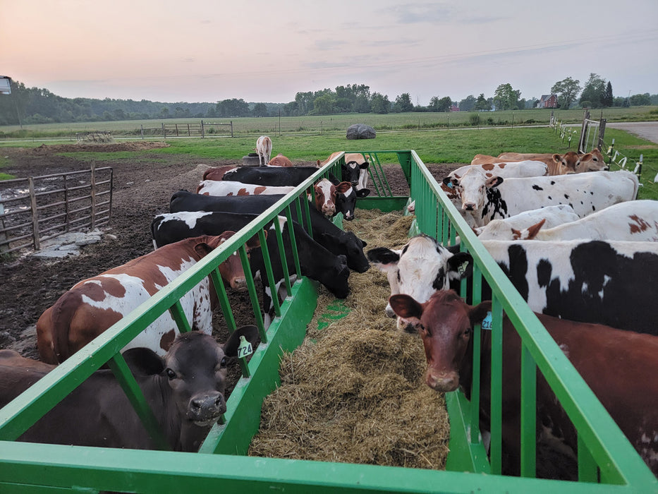 10′ Heavy-Duty Cattle Bunk Feeder – durable steel construction on skids for convenient and long-lasting farm use