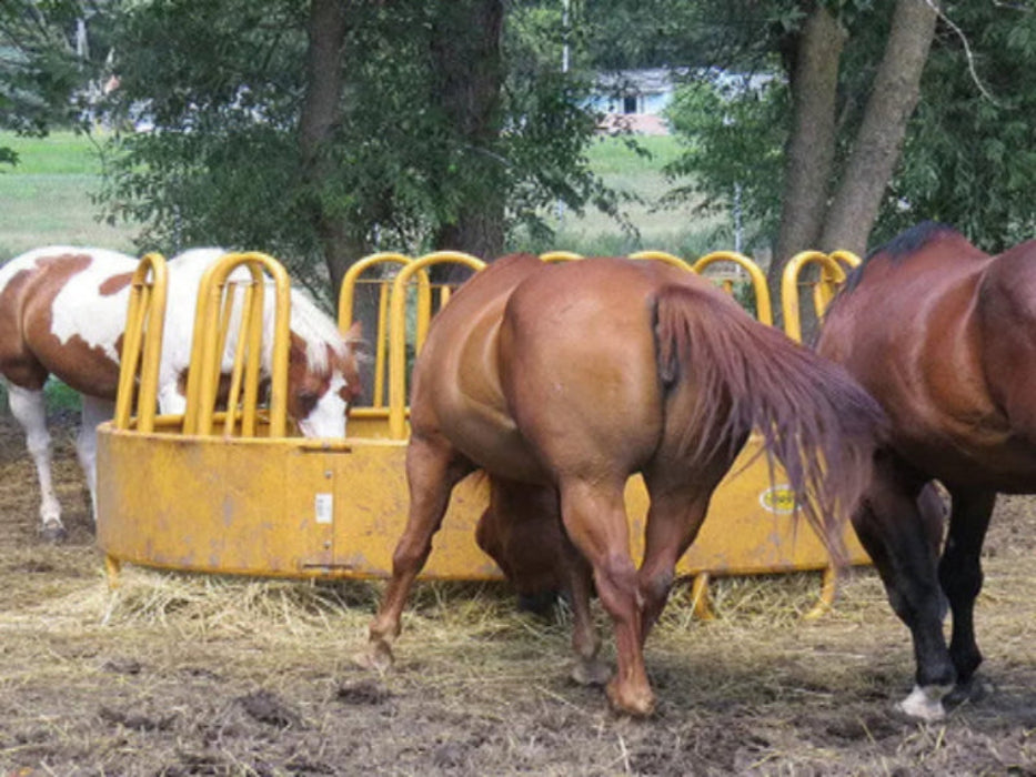 Close-up of Sioux Steel Heavy-Duty Round Bale Feeder showing sturdy steel bars and smooth edges for horse safety.