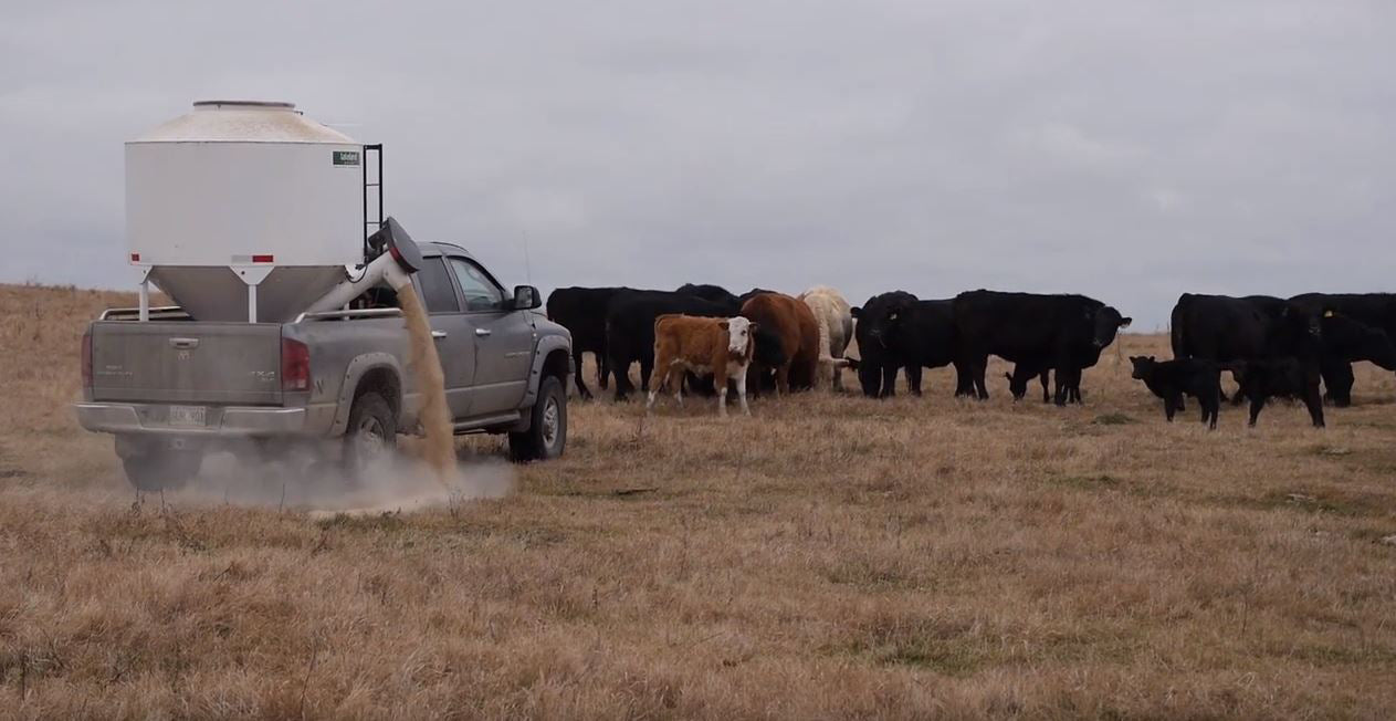 95 Bushel Portable Feed Bin by Lakeland – durable steel construction for secure and long-lasting feed storage