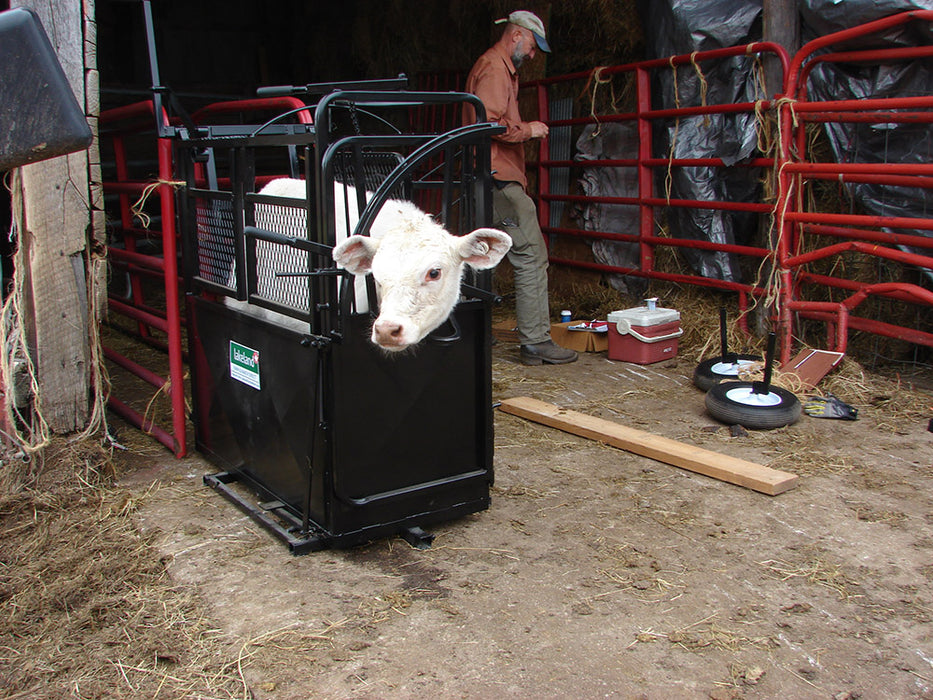 Lakeland Premium Calf Chute with side access doors for veterinary work and tagging