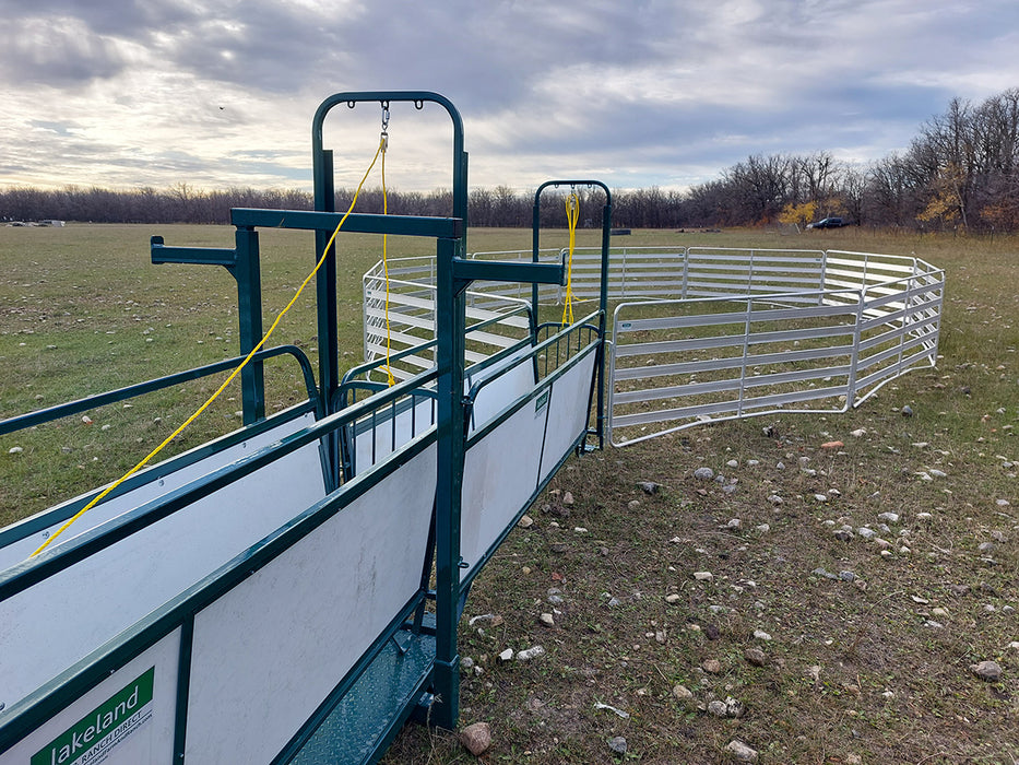 Professional Sheep Handling System Built for Durability and Easy Transport