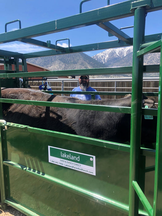 Side view of Lakeland Premium C-Series Adjustable Cattle Alley showing reinforced gates and secure latches