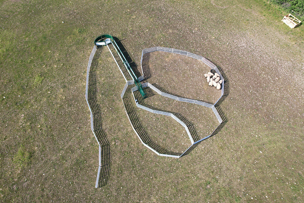 Portable Sheep Handling System with Built-In Scale for Safe and Easy Animal Handling