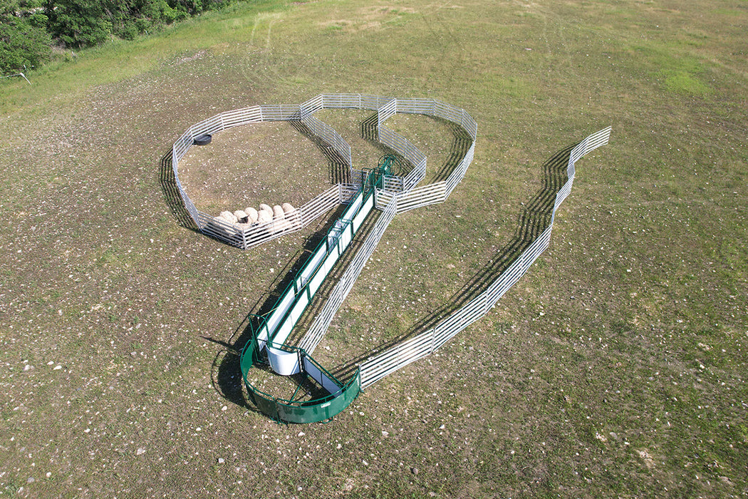 Advanced Sheep Handling System with Scale for Goats and Sheep to Improve Farm Efficiency