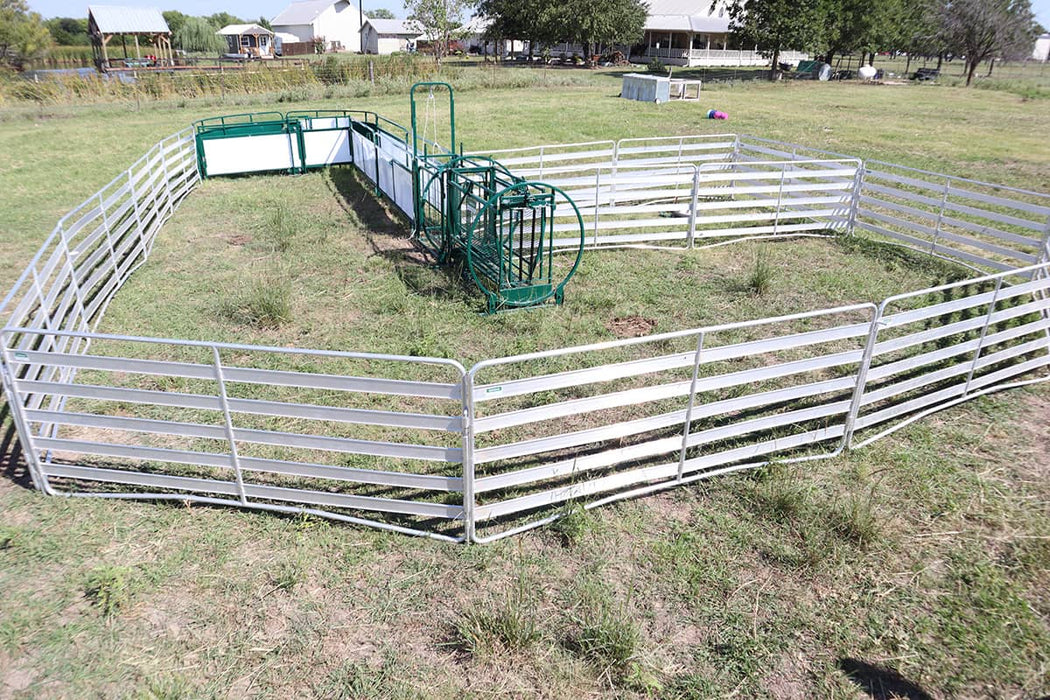 Heavy-Duty Sheep Handling System with Portable Gates and Alley for Easy Animal Control