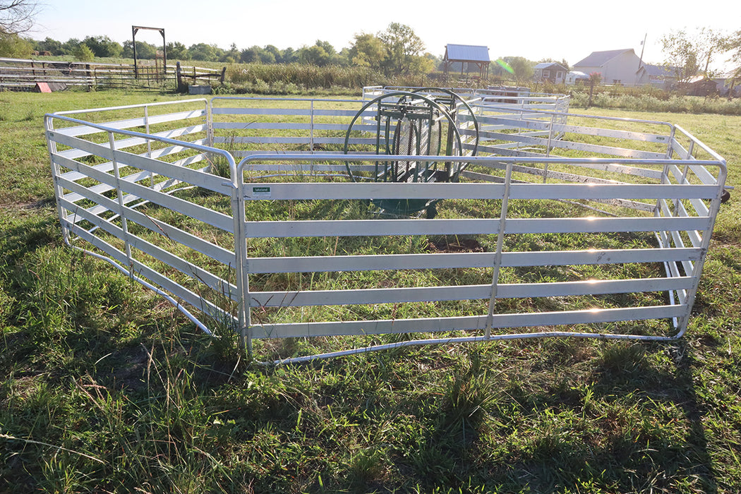 Complete Sheep Handling System Offering Smooth Animal Flow and Stress-Free Handling