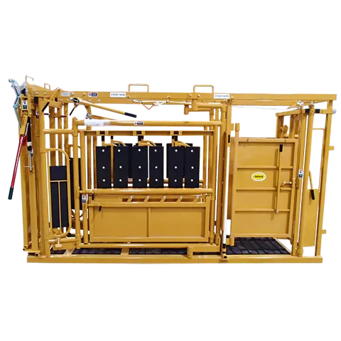 Heavy-duty Sioux Steel Cattle Chute with manual head gate designed for safe and efficient livestock handling.