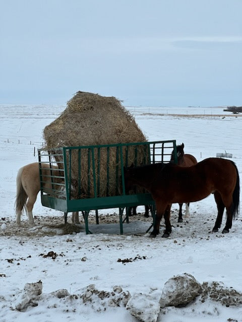 Heavy-duty Square Bale Horse Feeder – durable, easy-to-clean feeder ideal for stables and pastures
