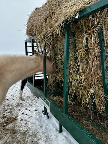 Square Bale Horse Feeder – practical hay-saving design built to reduce waste and promote healthy feeding habits