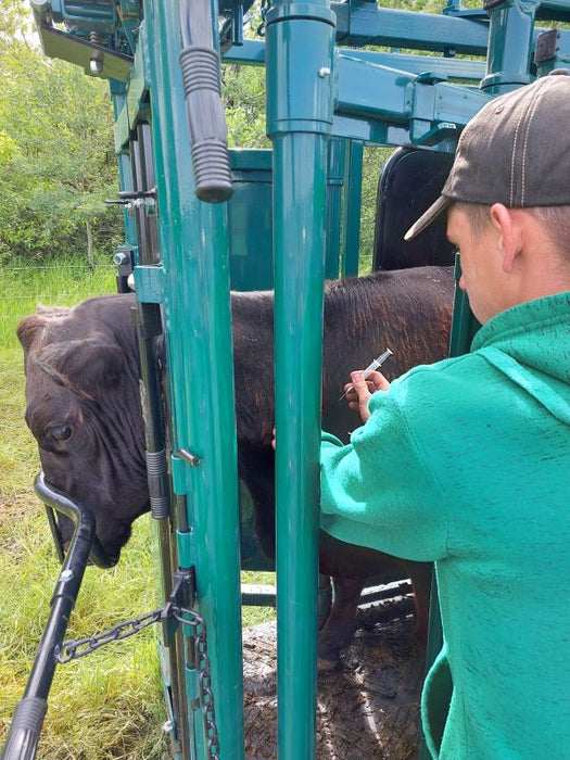 E-Series Cattle Handling System – portable, heavy-duty equipment for flexible ranch and farm operations