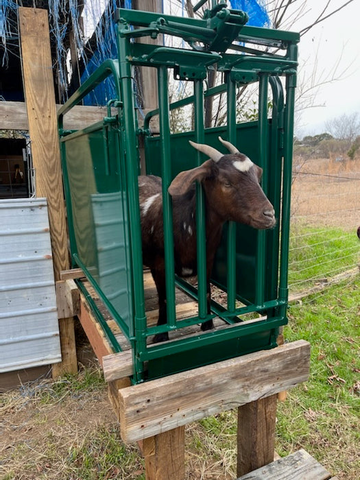 Adjustable Sheep Headgate with Self-Catch Mechanism for Quick Animal Control