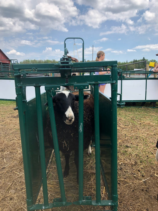 Premium Self-Catch Sheep Headgate System for Safe Livestock Management