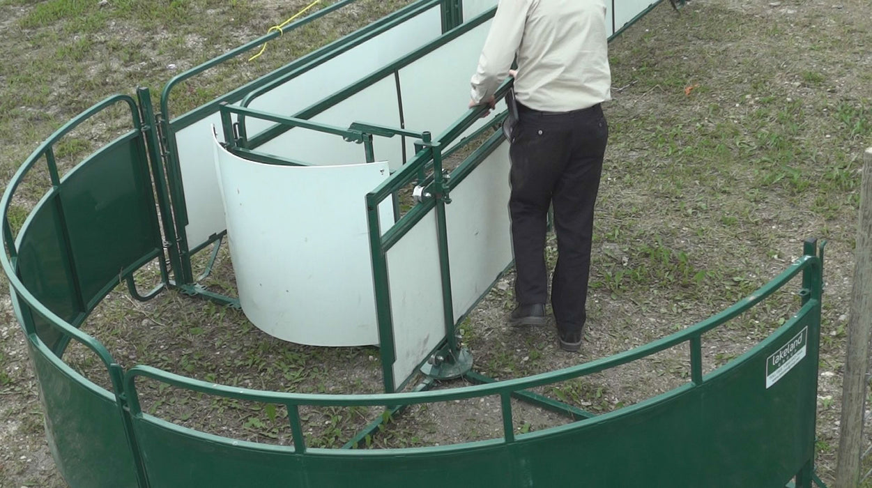 Professional-grade sheep handling system for goat farmers and ranchers