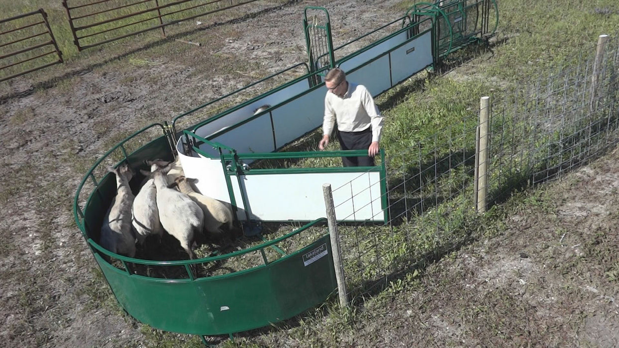 Efficient sheep handling system by Lakeland for safe and stress-free herding