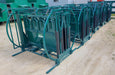 Lakeland heavy-duty Calf Table providing safe, efficient, and stress-free calf restraint