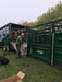 Heavy-duty steel Cattle Squeeze Chute integrated with adjustable alley and crowding tub