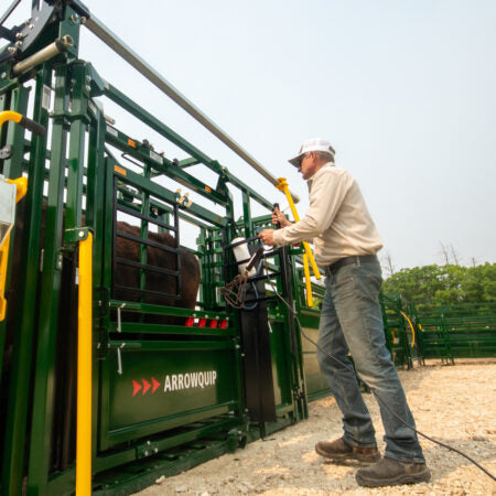 Arrowlock 55 Series Cattle Chute