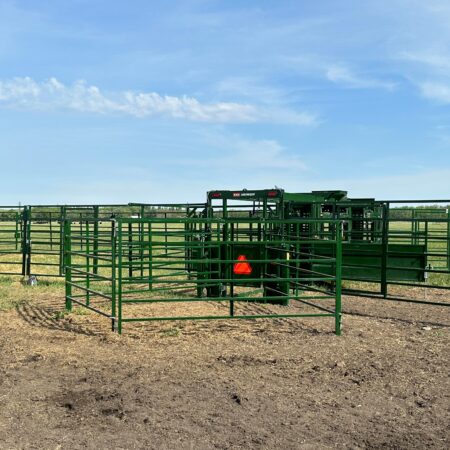The Heeler 87C Portable Corral