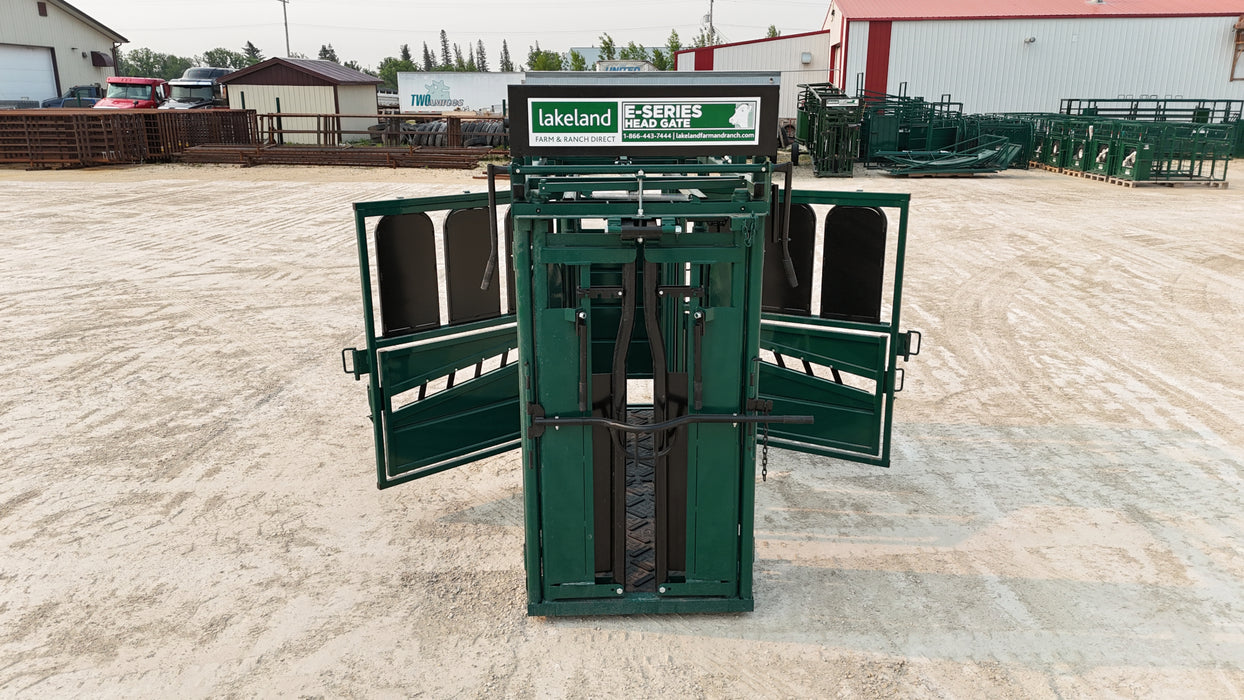 Cattle secured in Lakeland Cattle Squeeze Chute for veterinary care and maintenance