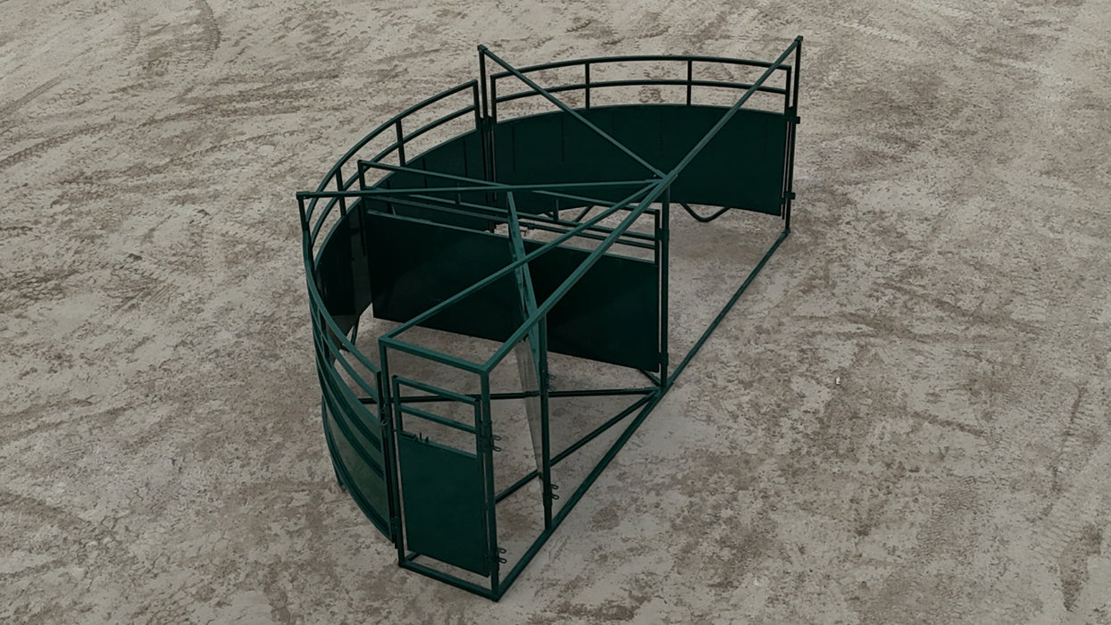 Farm worker guiding cattle through Lakeland’s cornerless Cattle Crowding Tub for easy sorting