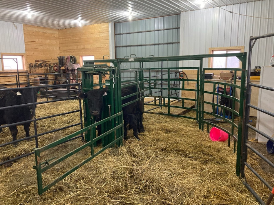 Close-up of secure latch and gate hinge system on Lakeland Half Circle Calving Pens