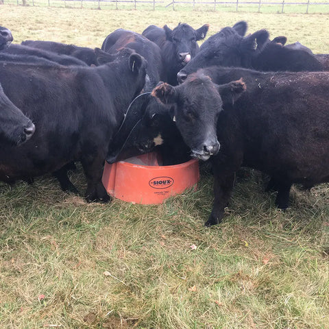 Ground Mineral Feeder