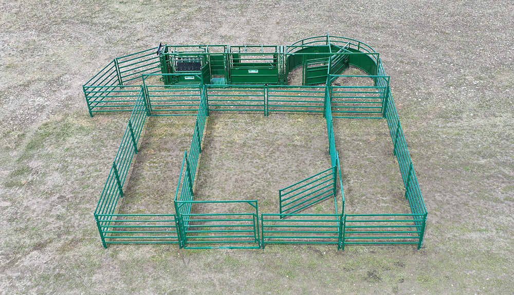 Smarter Ranching with Lakeland C3000 Cattle Handling System – durable construction for professional livestock handling