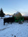 Cattleman’s Choice Cattle Feeder Wagon – efficient design for even feed distribution and reduced hay waste