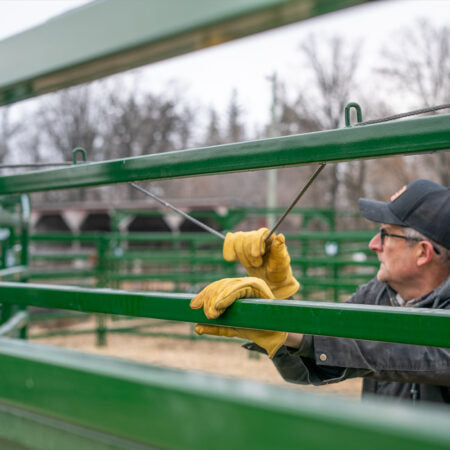 Easy Flow Elite Adjustable Cattle Alley