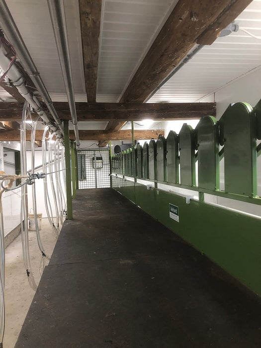 Self-Locking Head Rail for Parlors | Goat & Sheep Handling