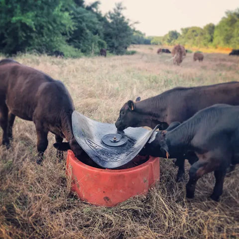 Ground Mineral Feeder