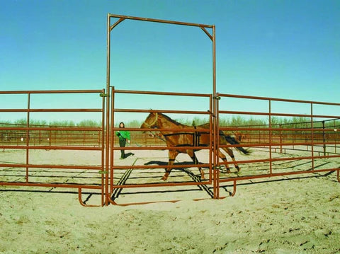 HORSE EQUIPMENT