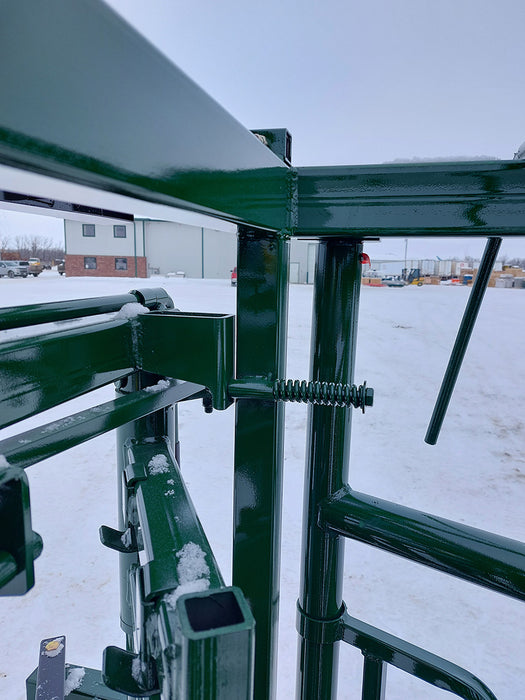 Cattle restrained inside Lakeland Cattle Squeeze Chute during routine veterinary inspection
