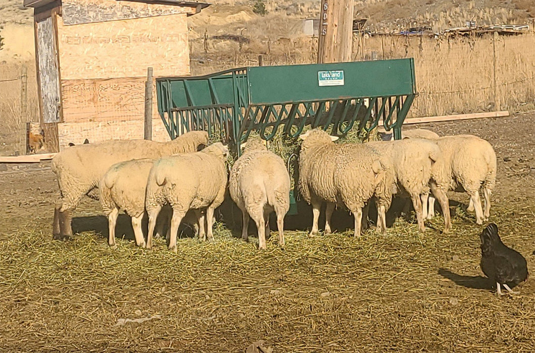 Goat Round Bale Feeder | Heavy-Duty Sheep Hay Feeder by Lakeland