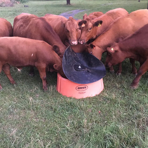 Ground Mineral Feeder
