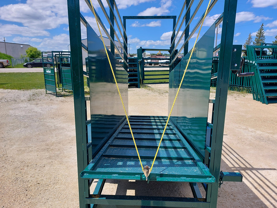 Portable loading chute for cattle in action during livestock handling on open farmland