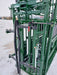 Cattle safely restrained in Lakeland Easy Catch Cattle Squeeze Chute during handling process