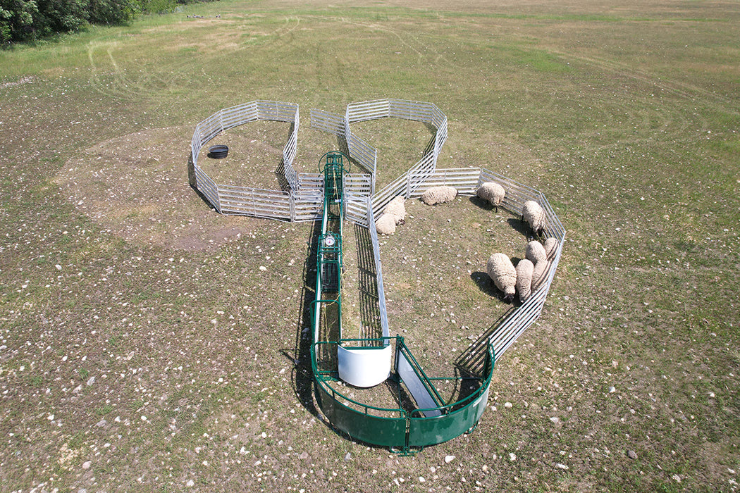 Portable Sheep Handling System with Digital Scale and Sorting Features for Farm Efficiency